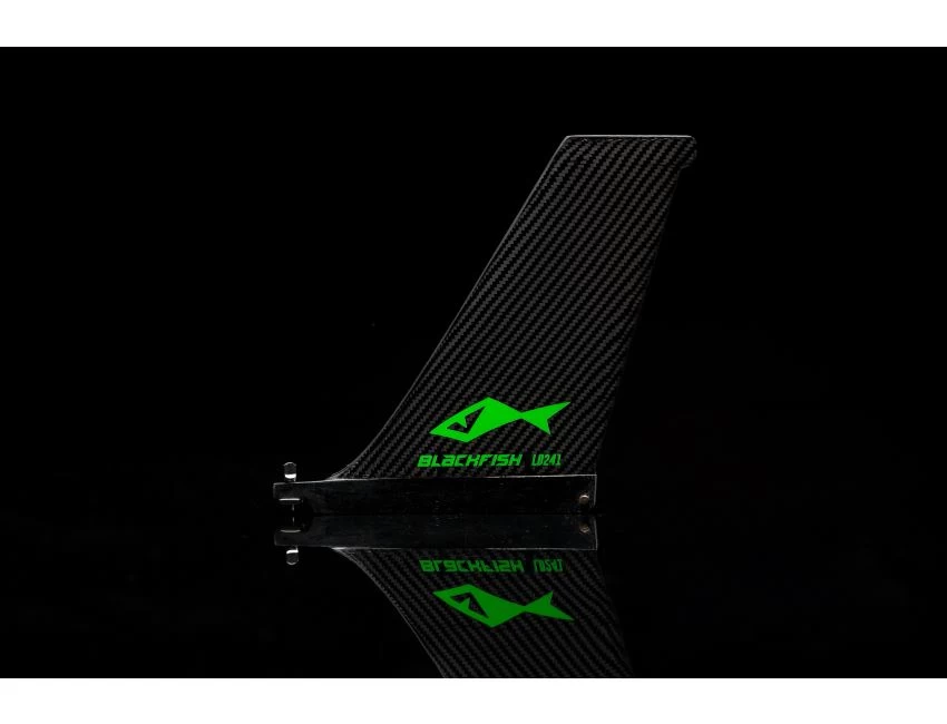 Aileron SUP - LD 241 2 Aileron SUP - LD 241 – Image 2