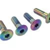 Vis 25mm M7 316 L Stainless Screw Set